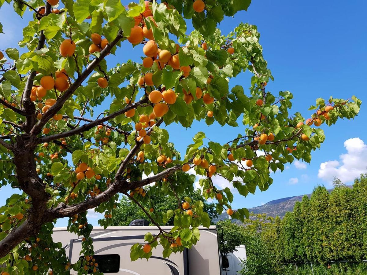 The Orchard At Oliver酒店 外观 照片