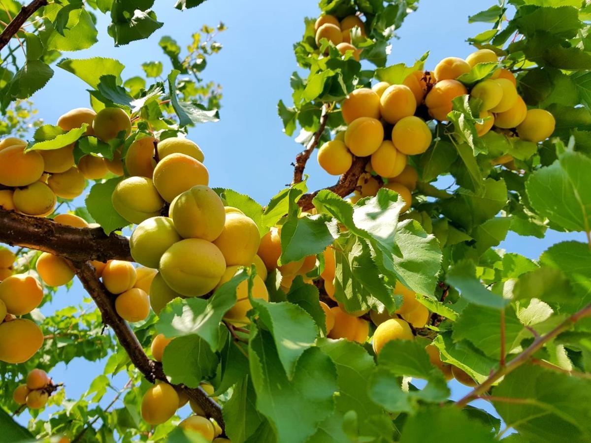 The Orchard At Oliver酒店 外观 照片